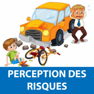 Perception Des Risques